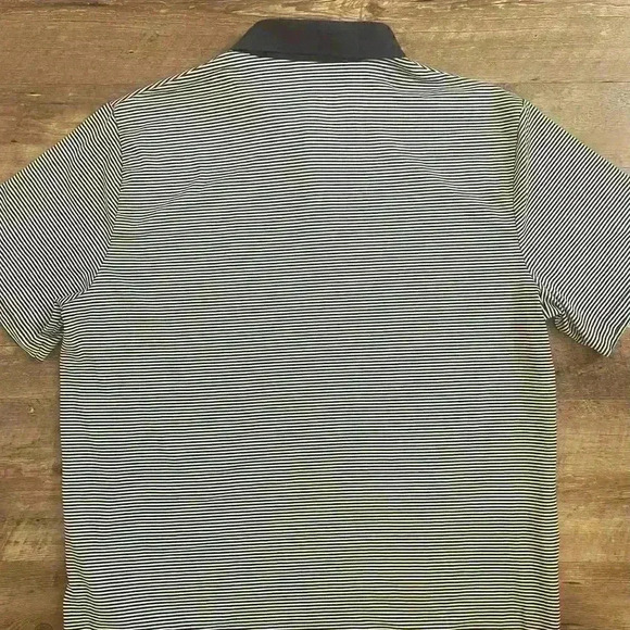 Polo Golf Performance Ralph Lauren Moisture Wicking Blue Striped Men's Sz L - Picture 9 of 9